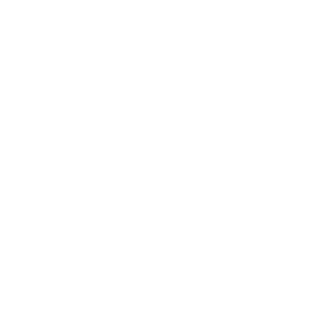 Brava logo